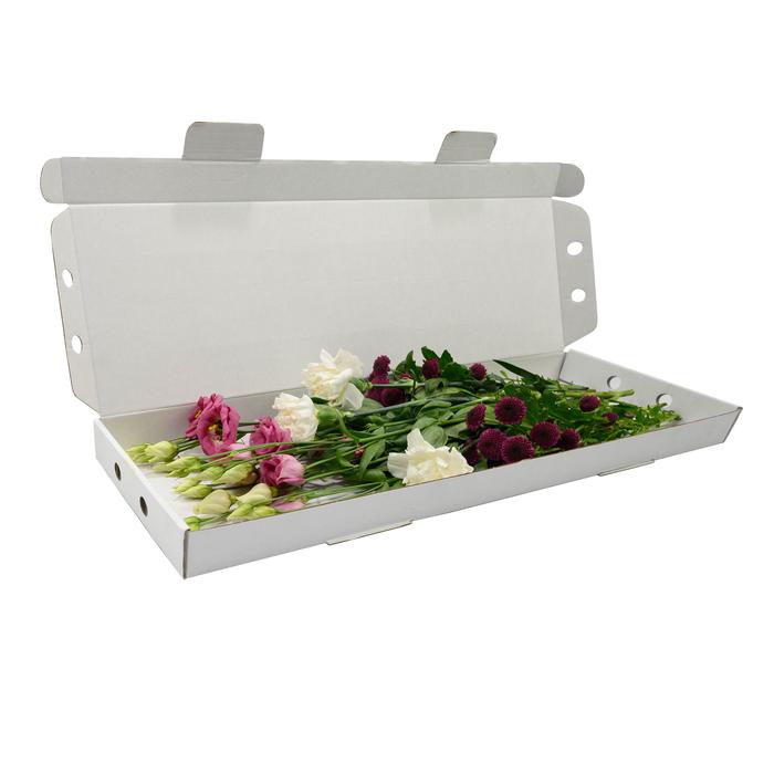 Flower Subscription Northern Ireland - 2 bouquet per month for 3 Months Pre-Paid
