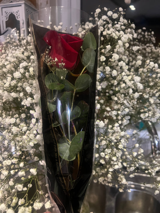 Single Red Rose