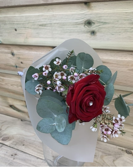 Single Freedom Red Rose