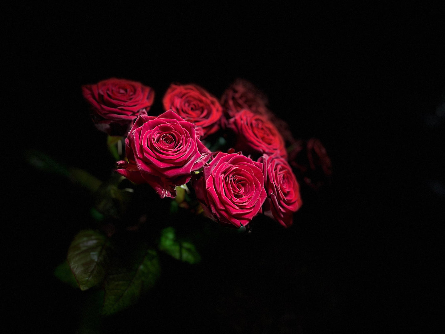 Premium Porta Nova Red Naomi