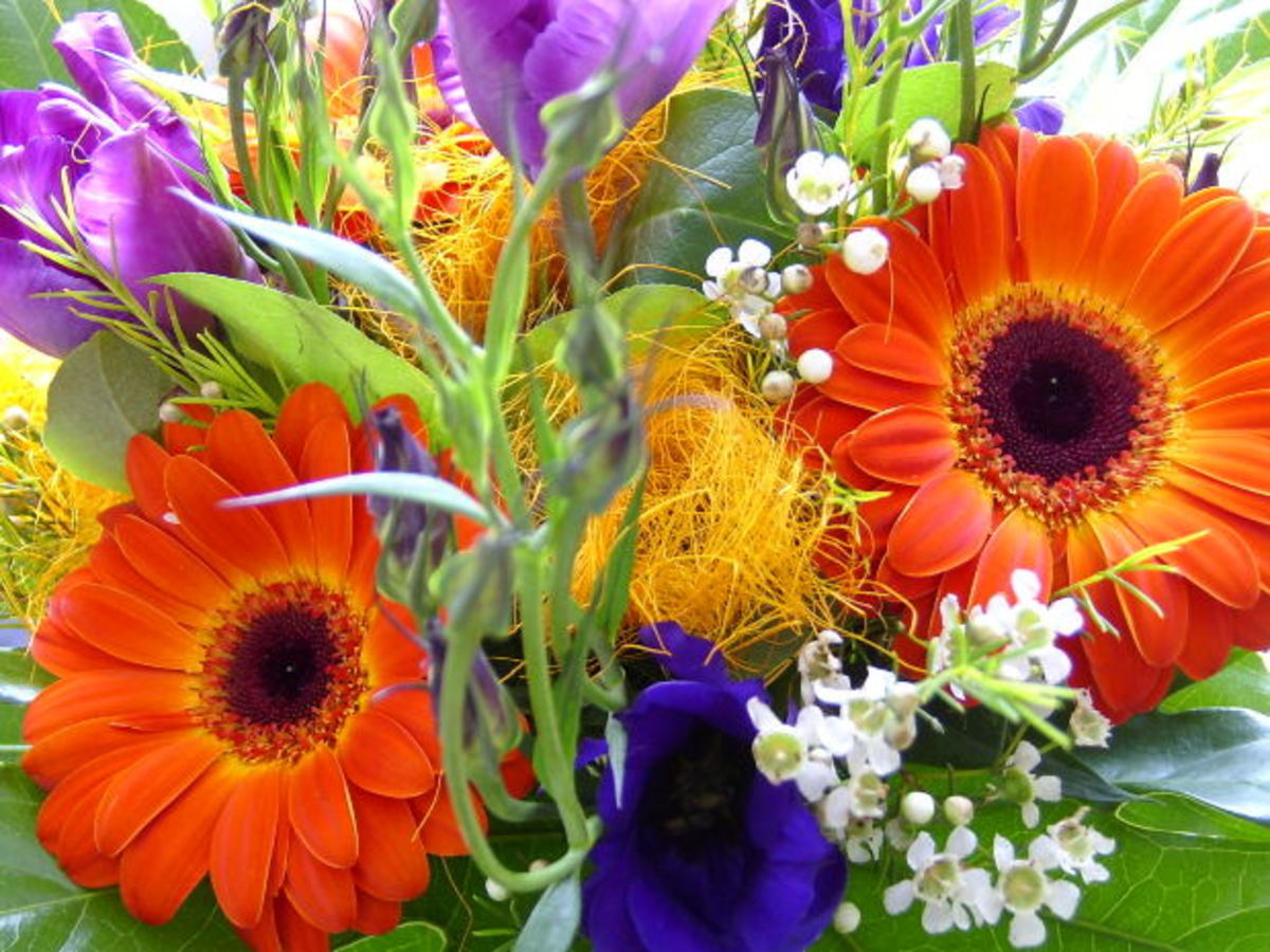 Florist Lisburn - One of a Kind Seasonal Specials