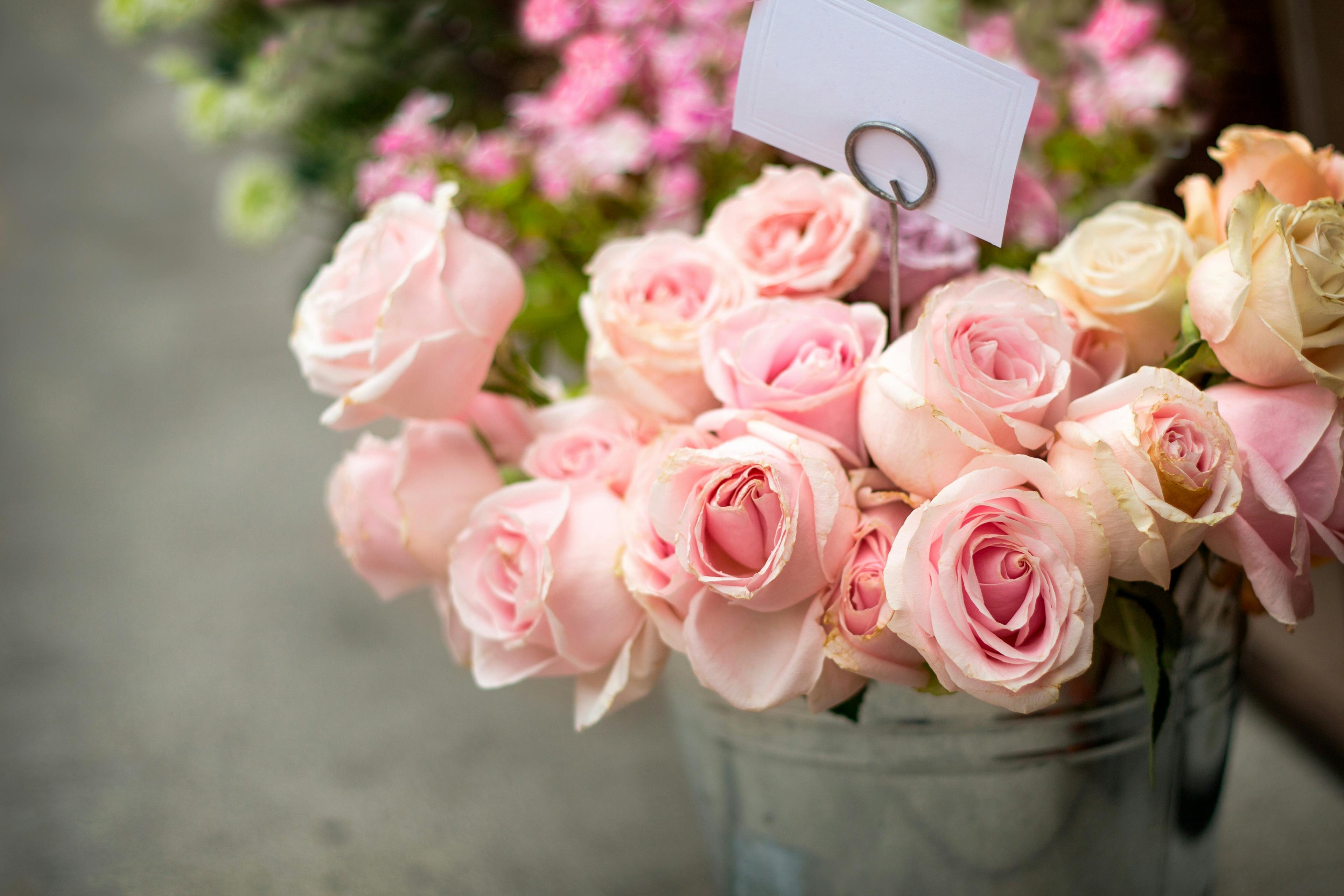 Freshly arranged roses by a Lisburn florist